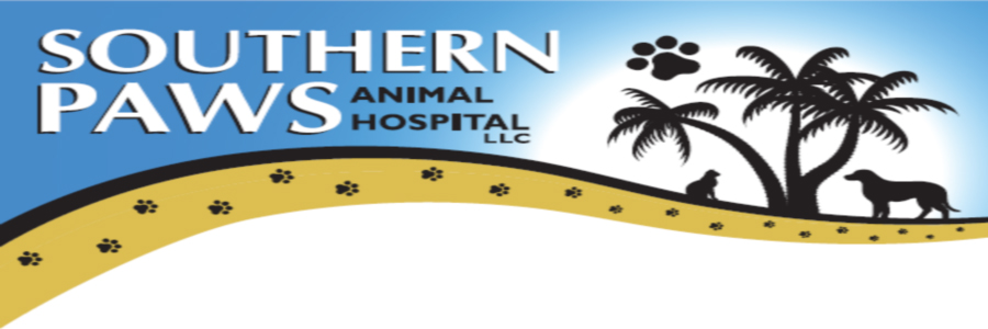 Southern Paws Animal Hospital